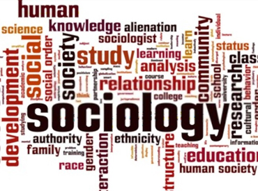 research areas in sociology